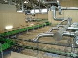 IBC module 2