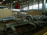 IBC module 4