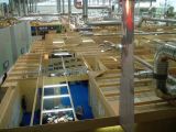 IBC module 6