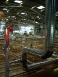 IBC module 7